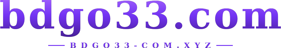 bdgo33.com logo